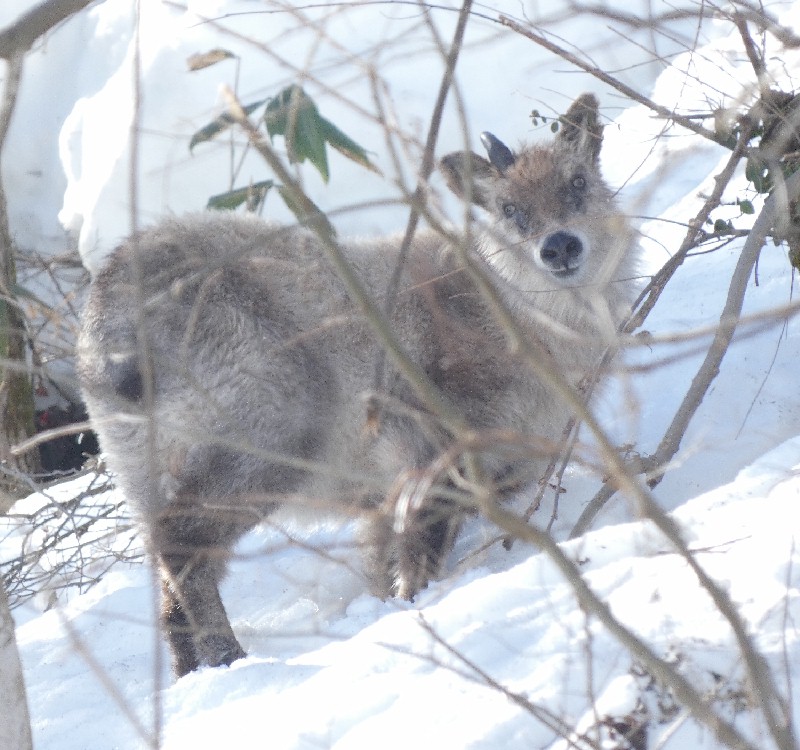 �j�z���J���V�J