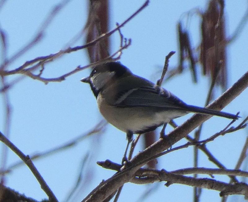 �V�W���E�J��