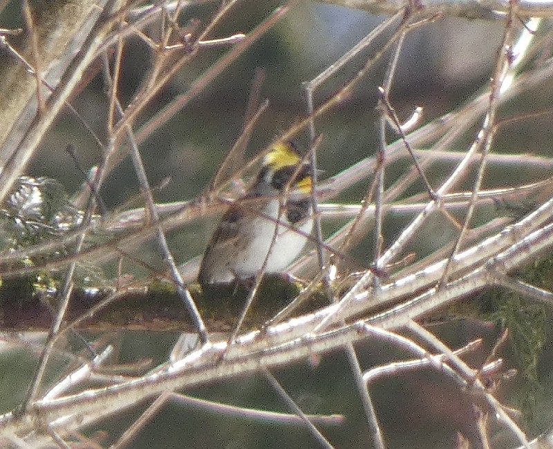 �~���}�z�I�W��