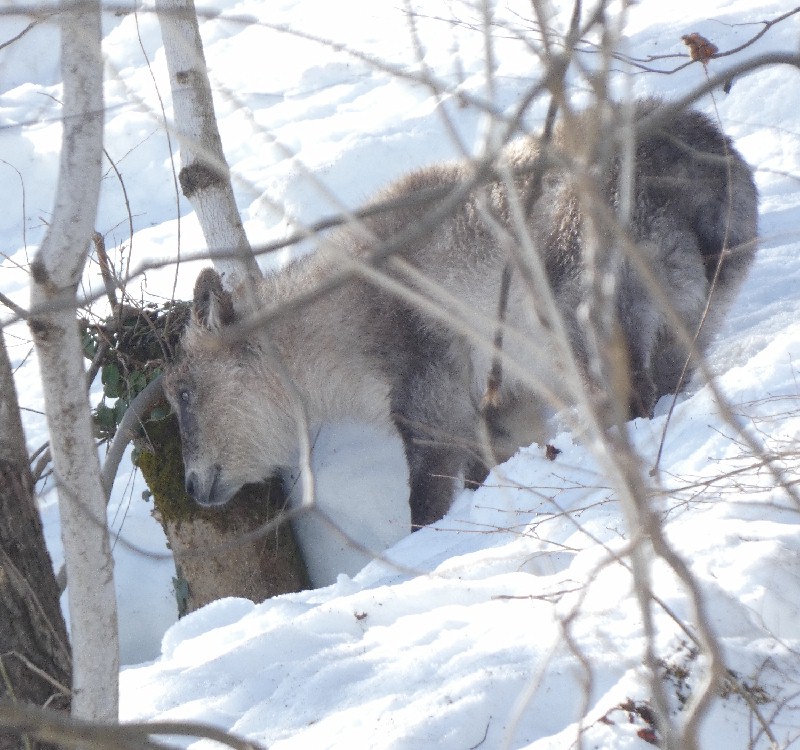 �j�z���J���V�J