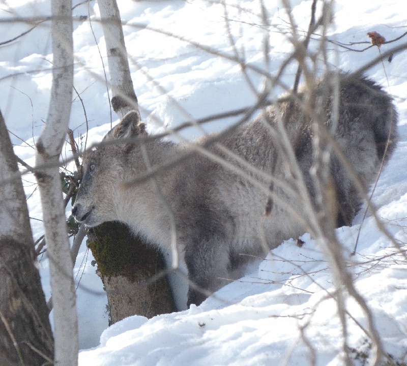 �j�z���J���V�J