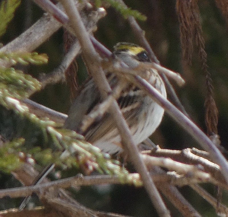 �~���}�z�I�W��