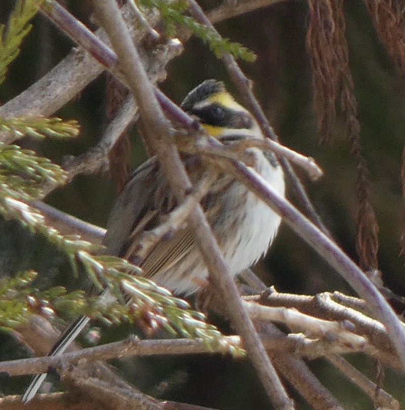 �~���}�z�I�W��