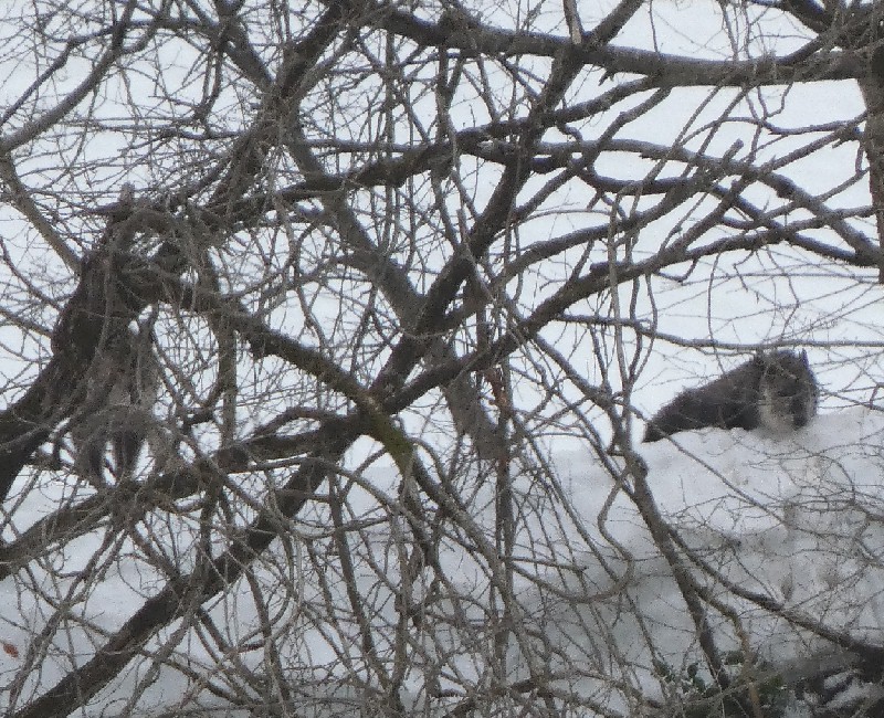 �j�z���J���V�J