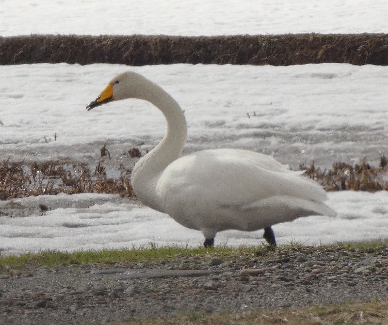 �I�I�n�N�`���E