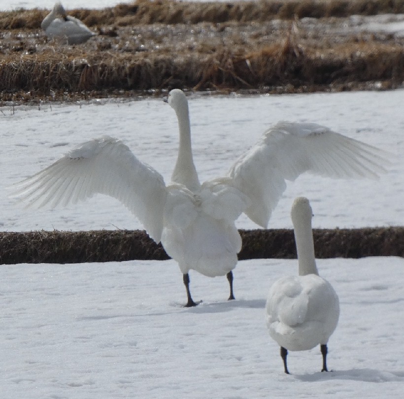 �I�I�n�N�`���E