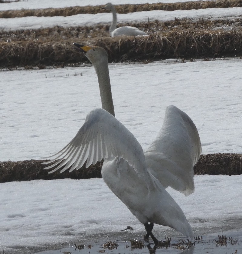 �I�I�n�N�`���E