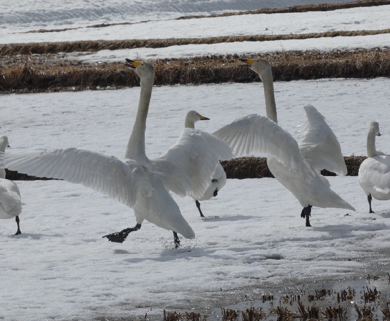 �I�I�n�N�`���E