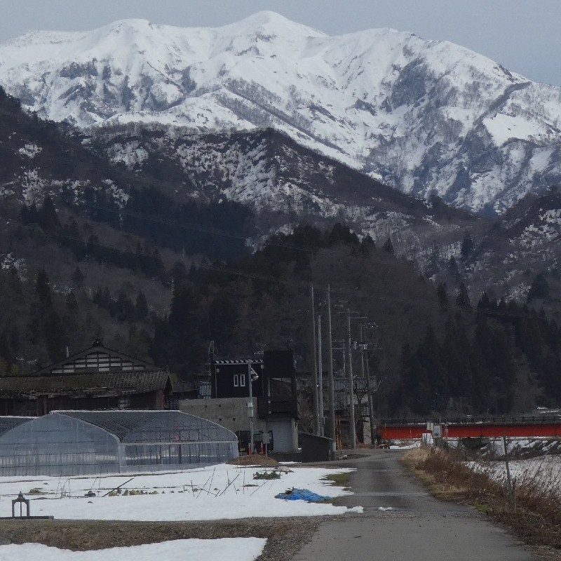 �����̋�����