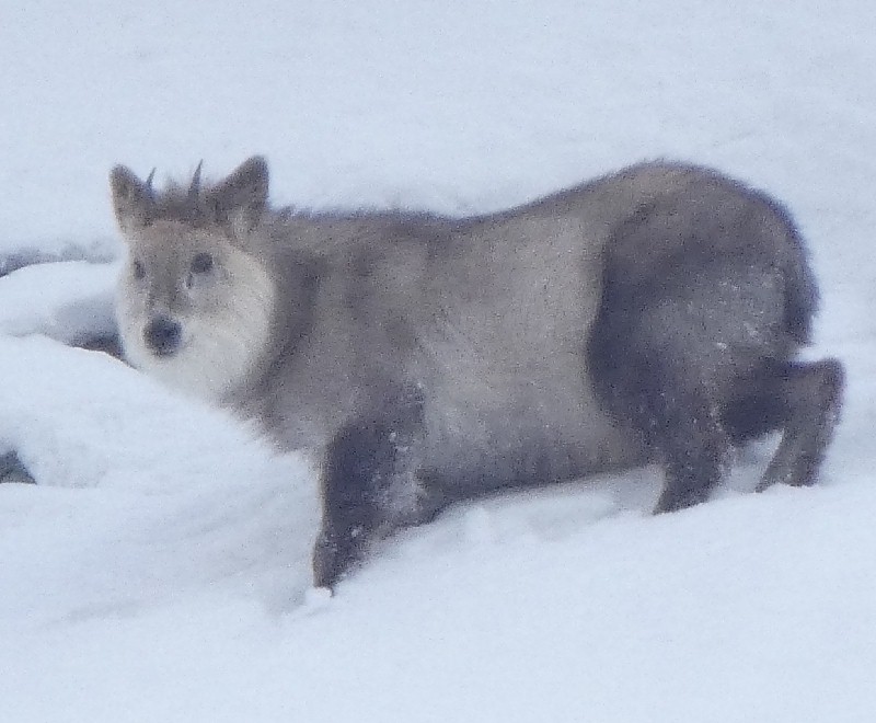 �j�z���J���V�J