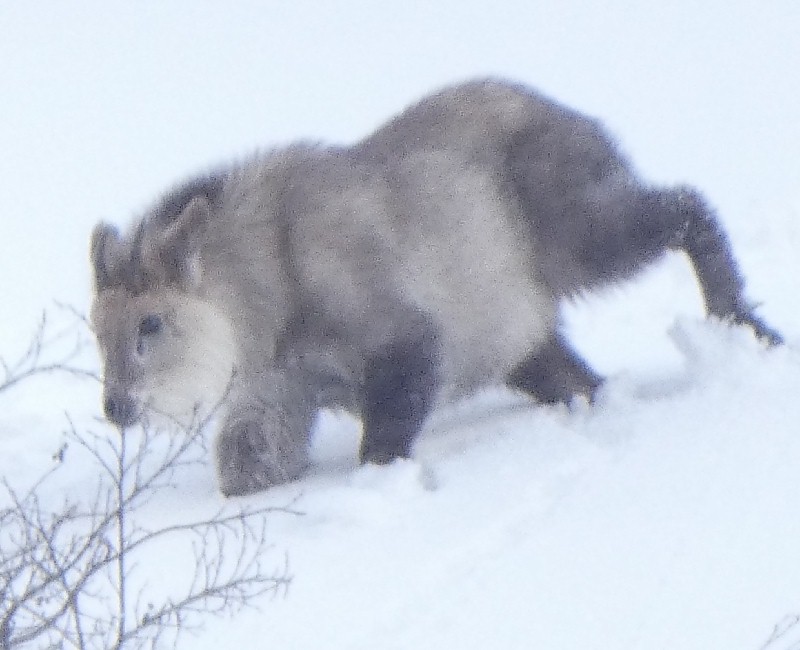 �j�z���J���V�J