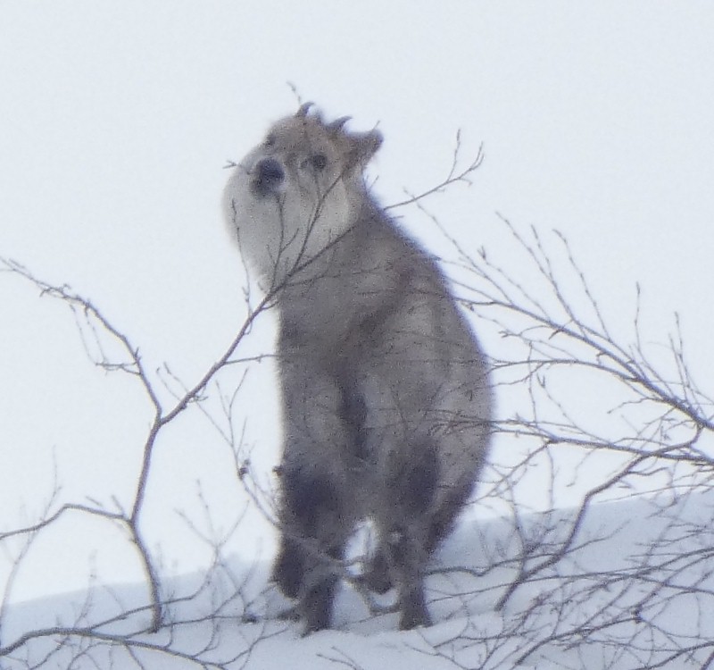 �j�z���J���V�J