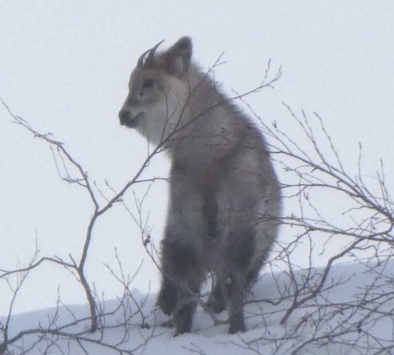 �j�z���J���V�J