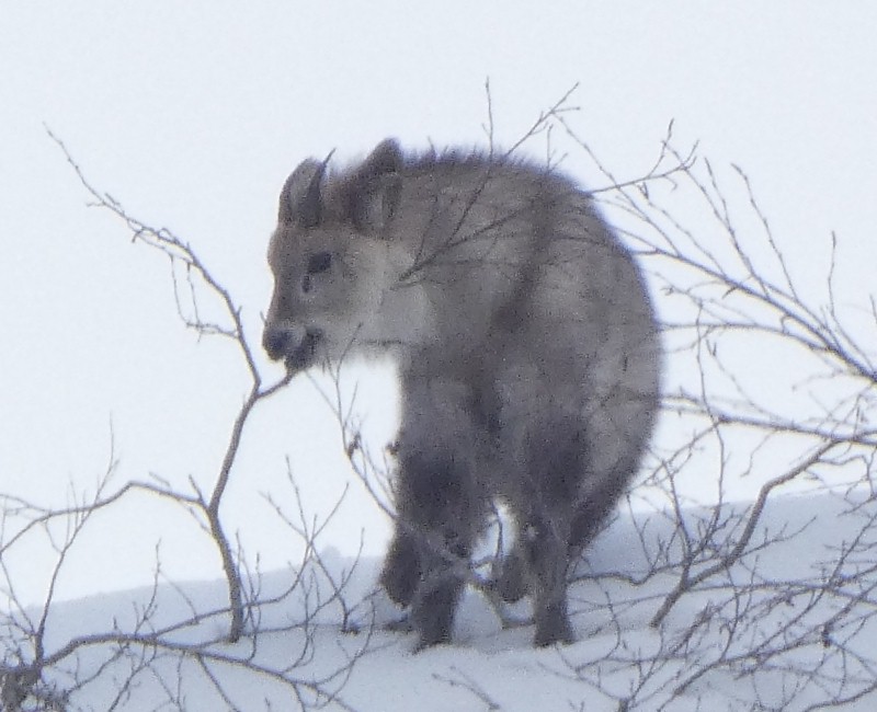 �j�z���J���V�J