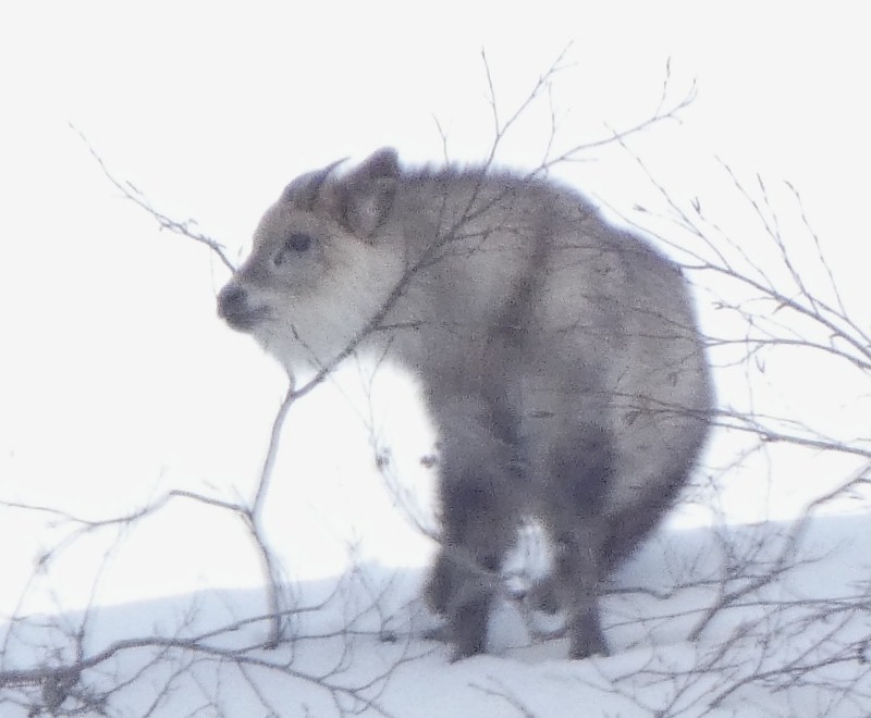 �j�z���J���V�J