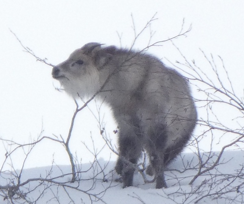 �j�z���J���V�J