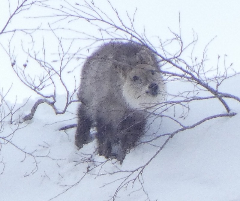 �j�z���J���V�J