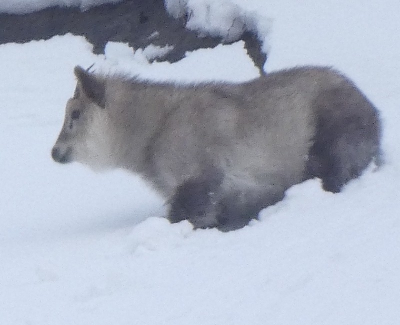 �j�z���J���V�J