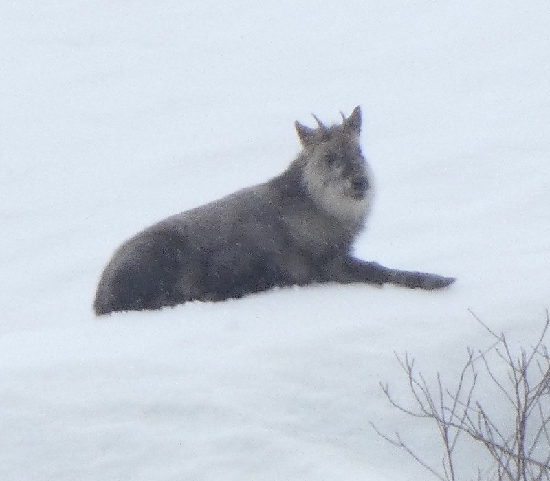 �j�z���J���V�J