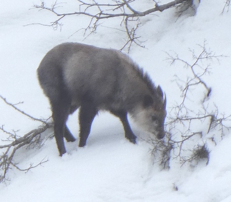 �j�z���J���V�J