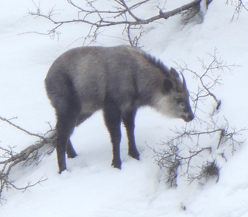 �j�z���J���V�J