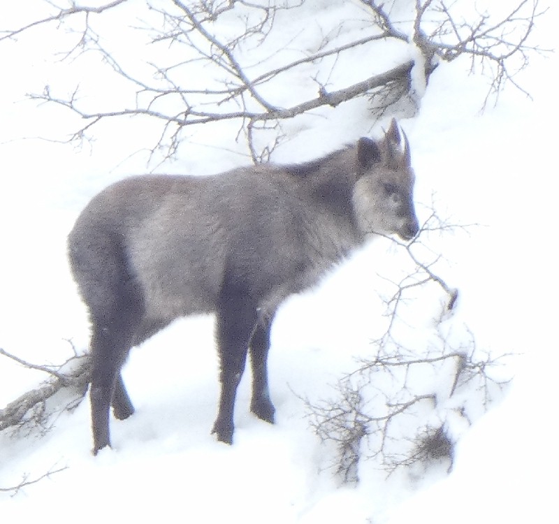 �j�z���J���V�J