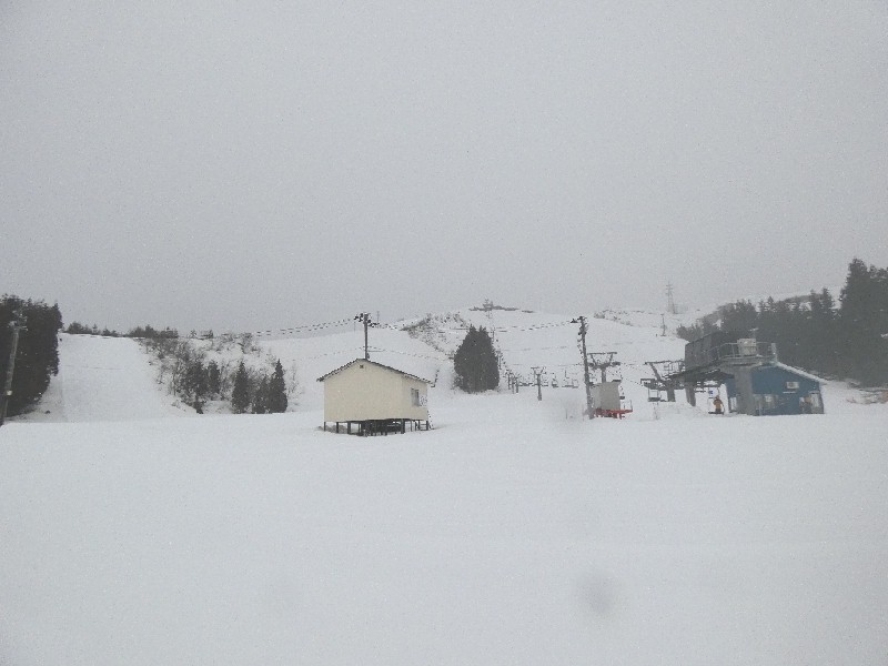 ��t�X�L�[��