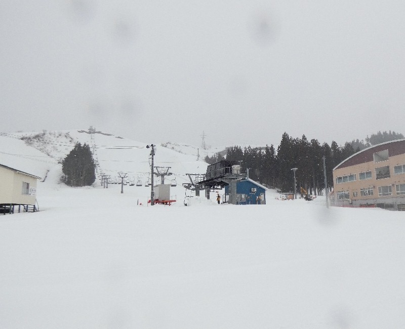 ��t�X�L�[��