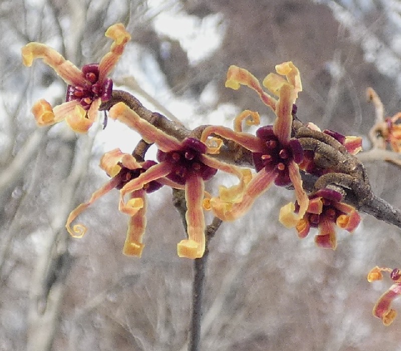 �}���o�}���T�N