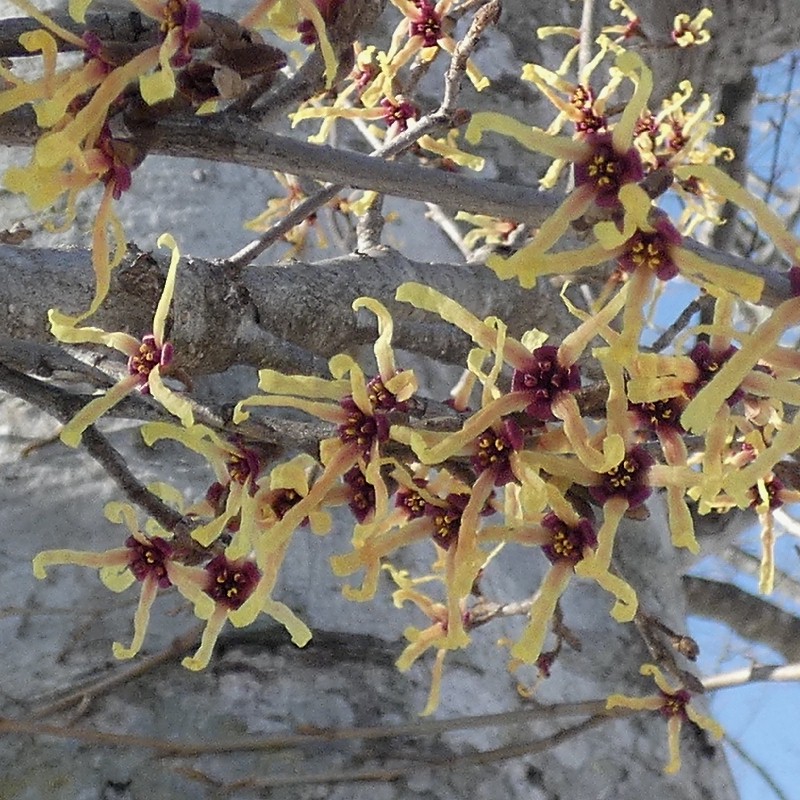 �}���o�}���T�N