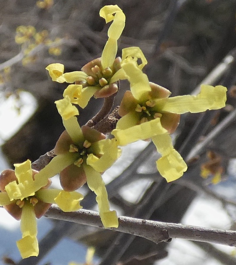 �}���o�}���T�N