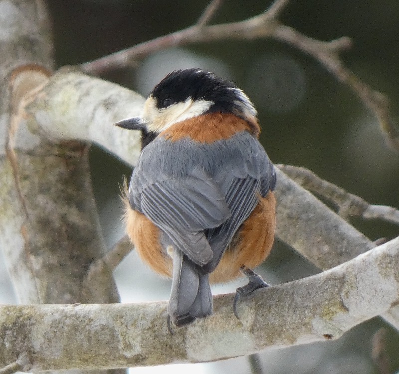 ���}�K��