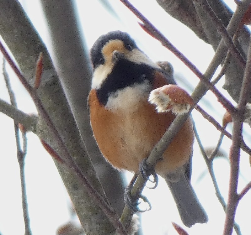 ���}�K��