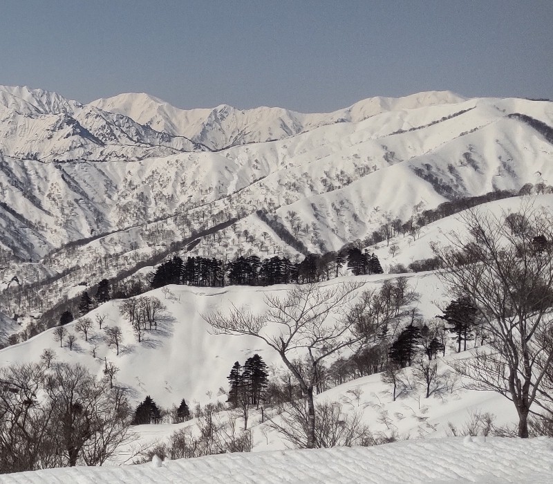 ���m�x�@�z���x