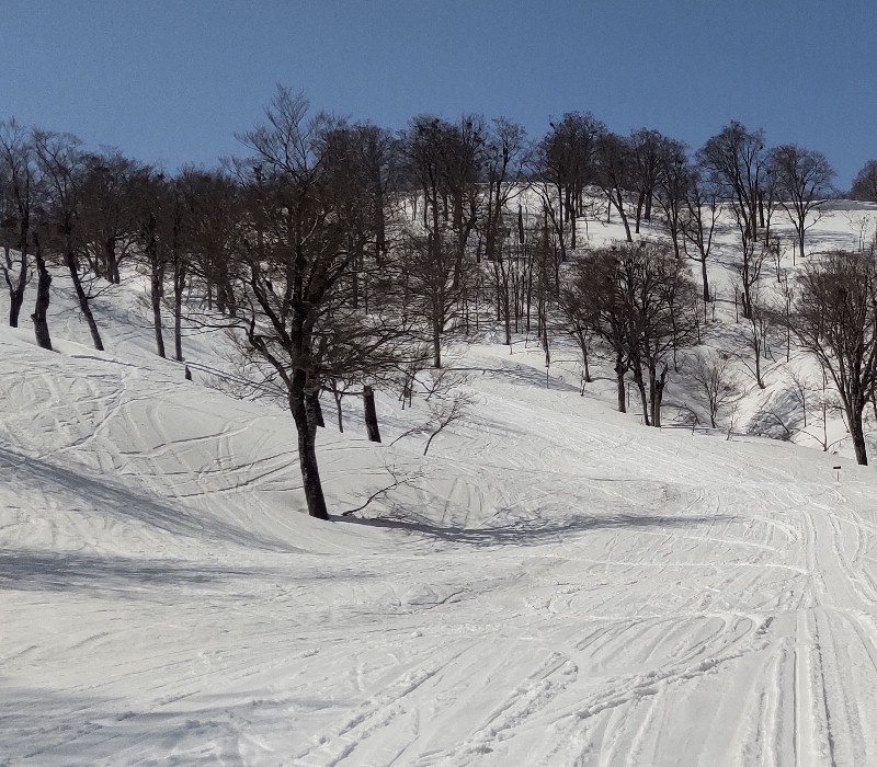 �u�i���Q�����f