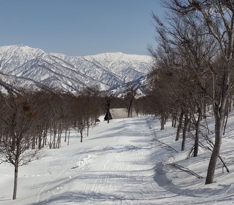 �u�i���q���b�e